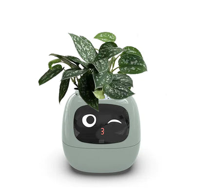 Smart AI Planter – Interactive, Self-Caring Pot with 7 Sensors & Animated Face