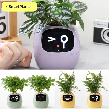 Smart AI Planter – Interactive, Self-Caring Pot with 7 Sensors & Animated Face